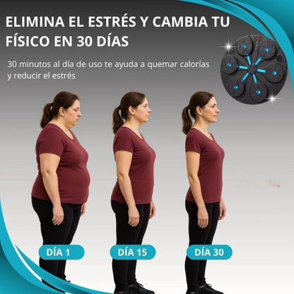 Pack Completo de Boxeo 🥊 – Entrena y Quema Grasa en Casa Universidad Ecom